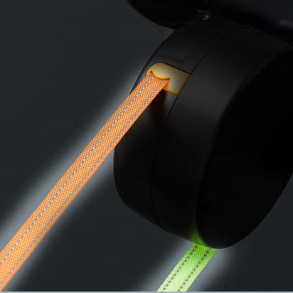 Retractable Dual Dog Leash with LED Light